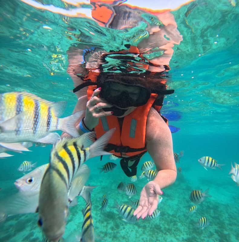 Isla Mujeres: Snorkeling tour at 3 spots, Underwater Museum and reefs!