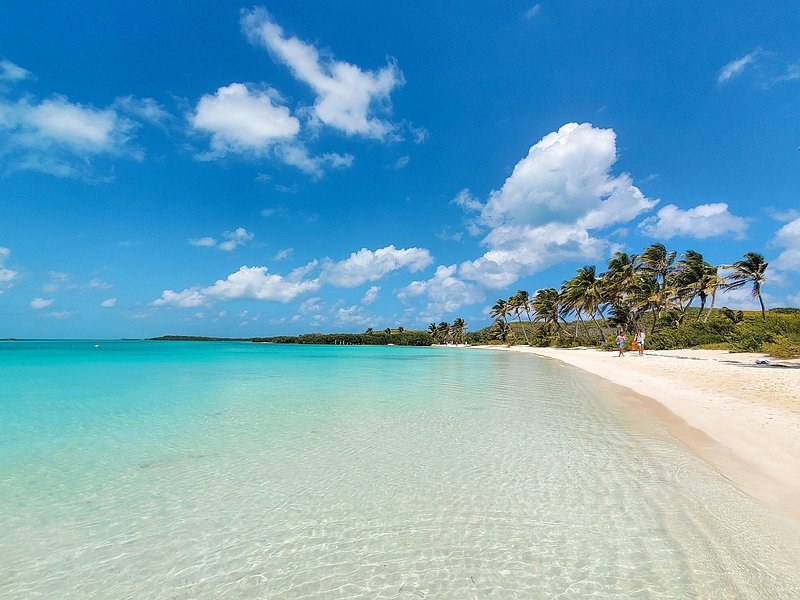 A white beach under palms, the water shallow and clear to the sand